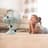 nettoshop.ch