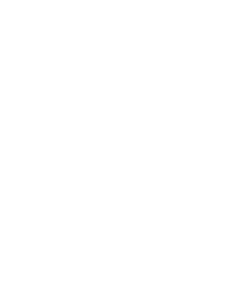 Logo - Sodabär